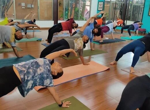 Krishna Wellness Yoga & Cultural Centre