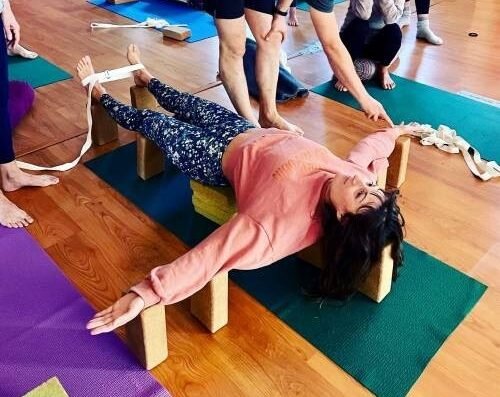 Vedic Hatha Vinyasa Yoga Ashram