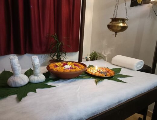Namo Holistic Wellness & Panchakarma Center