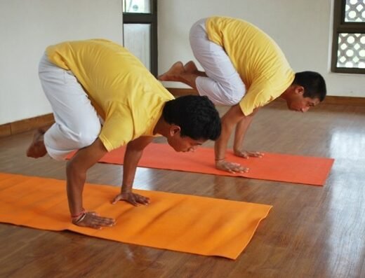 The Sivananda Yoga Vedanta Centre Chennai