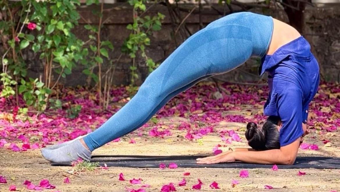 Sangyan Yog