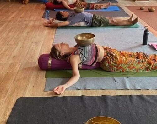 Vedic Hatha Vinyasa Yoga Ashram